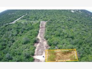 Terreno en venta en Komchen, Mérida, Yucatán