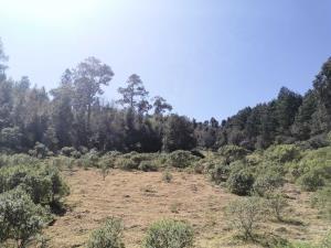 Terreno Panorámico en Velasco, Omitlán de Juárez – 18,000 m² con Vista a la Presa de Huasca