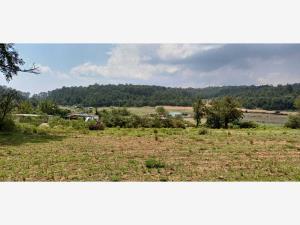 Terreno en venta en Cruz de Mujer, Omitlán de Juárez, Hidalgo