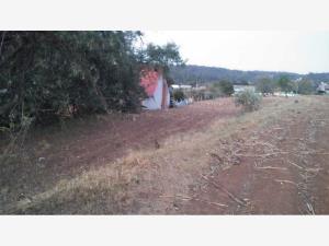Terreno en venta en San Antonio el Paso, Omitlán de Juárez, Hidalgo