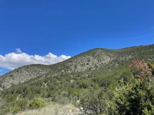 Terreno en venta en El Cedrito, Arteaga, Coahuila de Zaragoza