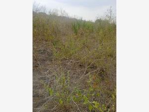 Terreno en venta en Panuco Centro, Pánuco, Veracruz de Ignacio de la Llave