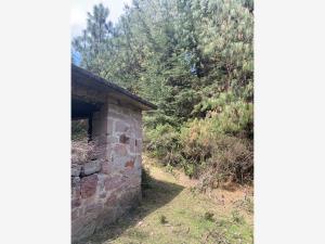 Gran Terreno Campestre en Mineral del Monte – 12 Ha con Excelente Ubicación