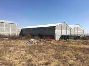 Terreno en renta en Vicente Guerrero (san Javier), Tolcayuca, Hidalgo
