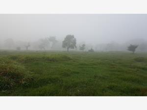 Finca-Rancho en venta en Parrilla, Centro, Tabasco