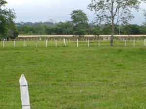 Finca-Rancho en venta en Dos Montes, Centro, Tabasco