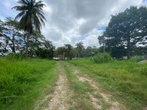 Terreno en renta en Plutarco Elías Calles (La Majahua), Centro, Tabasco