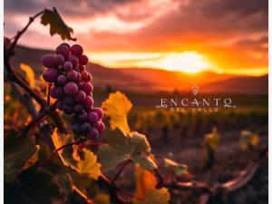 Terreno en venta en Francisco Zarco (Valle de Guadalupe), Ensenada, Baja California