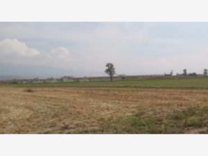 Terreno en remate en San Joaquin Coapango, Texcoco, México