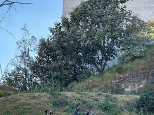 Terreno en venta en Residencial Lago Esmeralda, Atizapán de Zaragoza, México