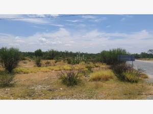 Terreno en venta en Papagayos, Doctor González, Nuevo León