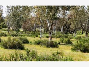 Terreno en venta en Banchetti, Tecate, Baja California