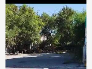 Terreno en venta en Narciso Mendoza, Reynosa, Tamaulipas