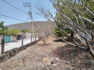 Terreno en venta en Vicente Guerrero, Zacatepec, Morelos