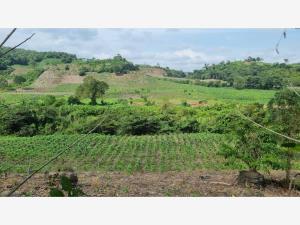 Terreno en venta en Santa Águeda, Papantla, Veracruz de Ignacio de la Llave