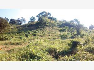 Terreno en venta en Tres Cruces, Papantla, Veracruz de Ignacio de la Llave