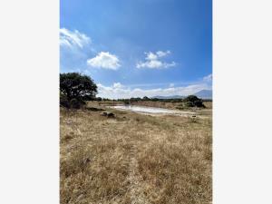 Terreno en venta en Los Cabrera, Huimilpan, Querétaro