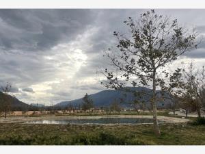 Terreno en venta en Nazario S Ortiz Garza, Saltillo, Coahuila de Zaragoza