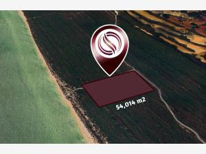 Terreno en venta en Celestun, Celestún, Yucatán