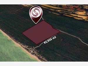 Terreno en venta en Celestun, Celestún, Yucatán