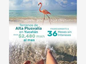 Terreno en venta en Celestun, Celestún, Yucatán