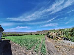 Finca-Rancho en venta en San José las Bocas, Izúcar de Matamoros, Puebla