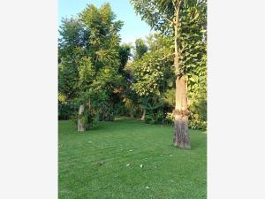 Terreno en venta en Acapatzingo, Cuernavaca, Morelos