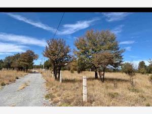 Finca-Rancho en venta en El Soldado, Durango, Durango