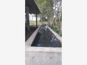 Finca-Rancho en venta en Reforma Centro, Reforma, Chiapas