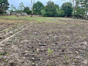 Terreno en venta en Plátano y Cacao 1ra Sección, Centro, Tabasco