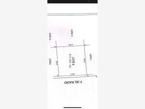 Terreno en venta en Real del Nogalar, Torreón, Coahuila de Zaragoza