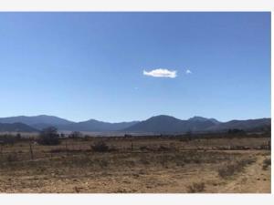 Terreno en venta en La Biznaga, Arteaga, Coahuila de Zaragoza