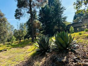 Terreno en venta en Huitzilac, Huitzilac, Morelos