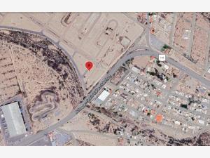 Quinta en venta en San Isidro de las Palomas, Arteaga, Coahuila de Zaragoza