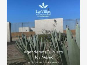Terreno en venta en El Cardenchal, Torreón, Coahuila de Zaragoza Terreno en venta en El Cardenchal, Torreón, Coahuila de Zaragoza