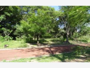 Terreno en venta en El Carmen, Atlixco, Puebla