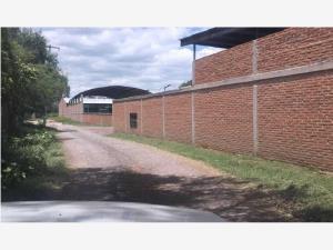 Terreno en venta en Obrajuelo, Apaseo El Grande, Guanajuato