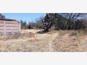 Terreno en venta en Santa María Nativitas, Aculco, México