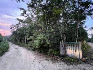Terreno en venta en Puerto Morelos, Puerto Morelos, Quintana Roo