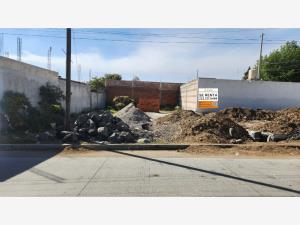 Terreno en renta en Sanctorum, Cuautlancingo, Puebla