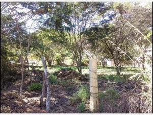 Terreno en venta en Viva Cardenas, San Fernando, Chiapas