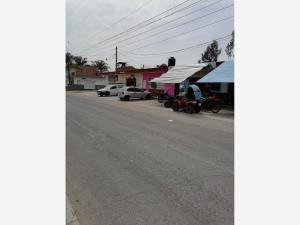 Terreno en venta en La Alameda, El Salto, Jalisco