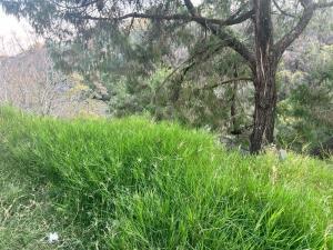Terreno en venta en Lomas de Tzompantle, Cuernavaca, Morelos