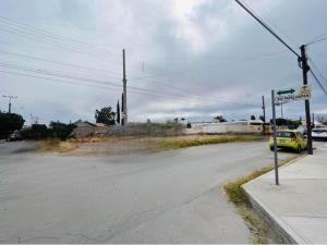 Terreno en renta en Navarro, Torreón, Coahuila de Zaragoza