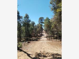 Terreno en venta en Maria Auxiliadora, San Cristóbal de las Casas, Chiapas