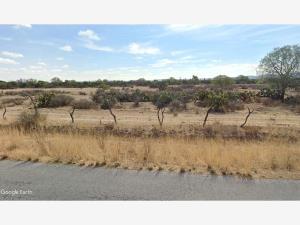 Finca-Rancho en venta en Matancillas (San Isidro), Ojuelos de Jalisco, Jalisco
