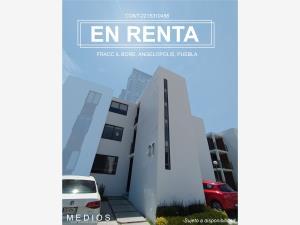 Departamento en renta en Lomas de Angelópolis, San Andrés Cholula, Puebla