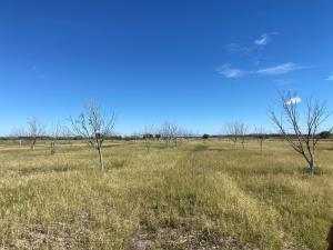 Terreno en venta en Concordia (La Rosita), San Pedro, Coahuila de Zaragoza