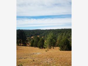 Terreno en venta en El Salto Centro, Pueblo Nuevo, Durango