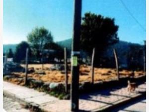 Terreno en remate en San Felipe Hidalgo, Nanacamilpa de Mariano Arista, Tlaxcala